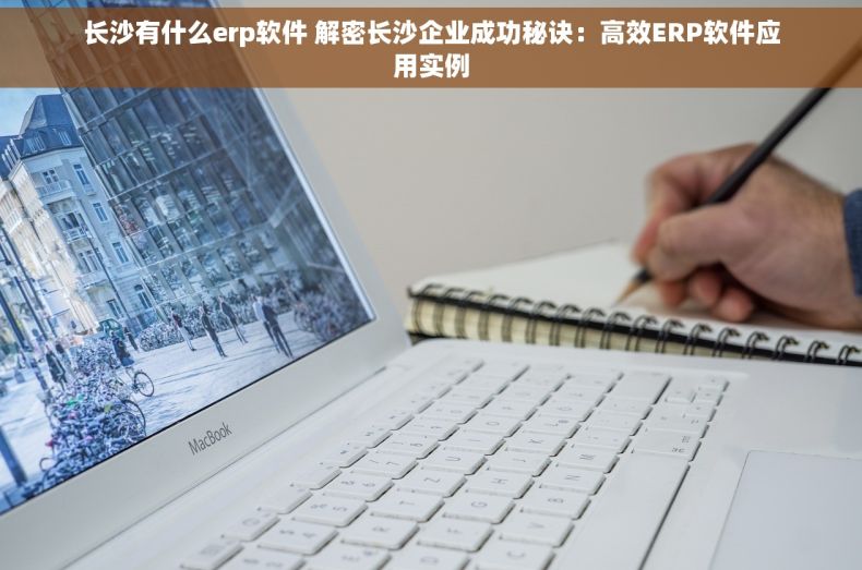 长沙有什么erp软件 解密长沙企业成功秘诀：高效ERP软件应用实例