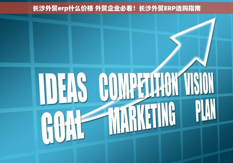 长沙外贸erp什么价格 外贸企业必看！长沙外贸ERP选购指南