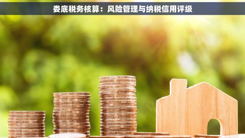娄底税务核算：风险管理与纳税信用评级