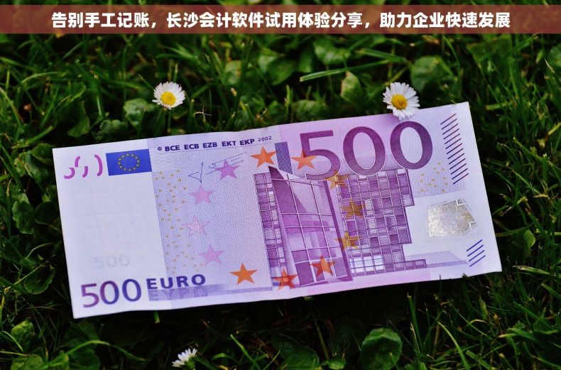 告别手工记账，长沙会计软件试用体验分享，助力企业快速发展