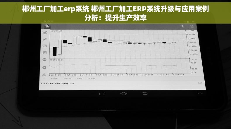 郴州工厂加工erp系统 郴州工厂加工ERP系统升级与应用案例分析：提升生产效率