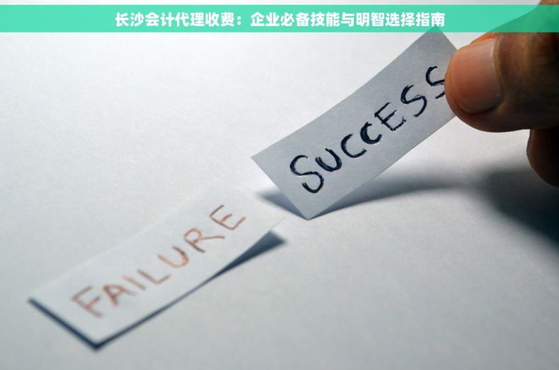 长沙会计代理收费：企业必备技能与明智选择指南