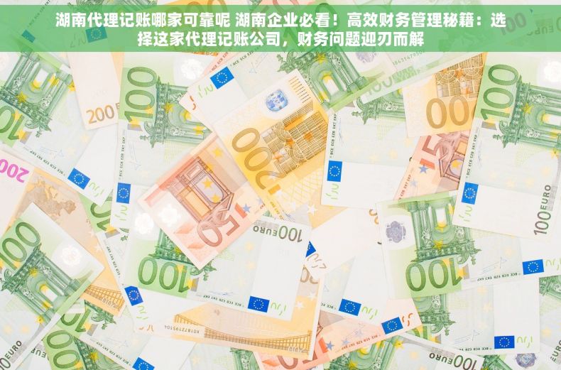 湖南代理记账哪家可靠呢 湖南企业必看！高效财务管理秘籍：选择这家代理记账公司，财务问题迎刃而解