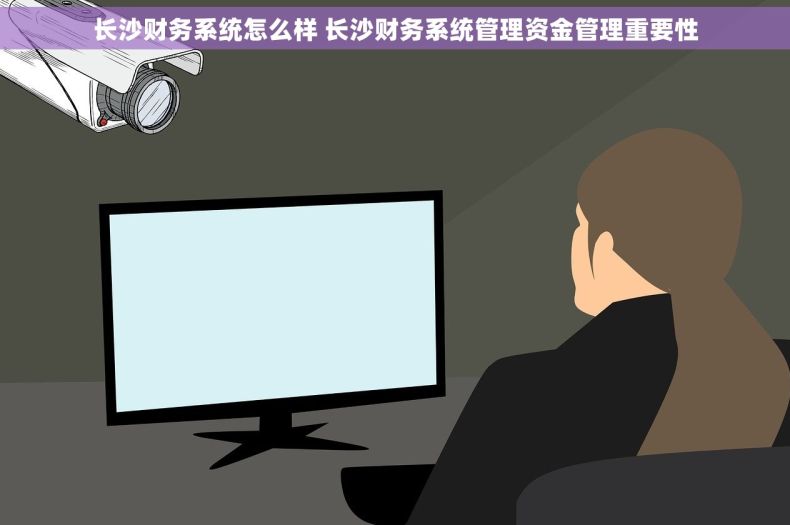 长沙财务系统怎么样 长沙财务系统管理资金管理重要性