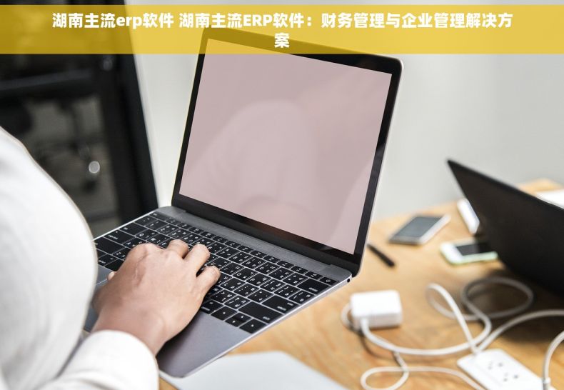 湖南主流erp软件 湖南主流ERP软件：财务管理与企业管理解决方案