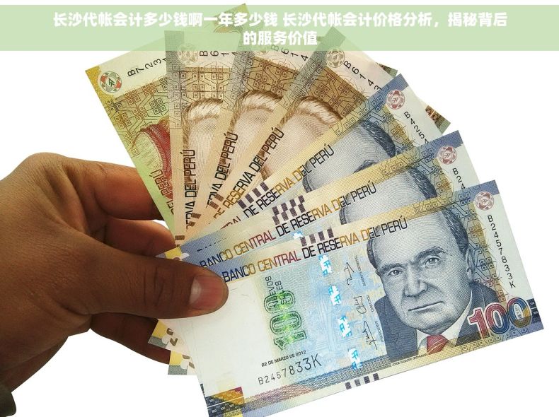 长沙代帐会计多少钱啊一年多少钱 长沙代帐会计价格分析，揭秘背后的服务价值