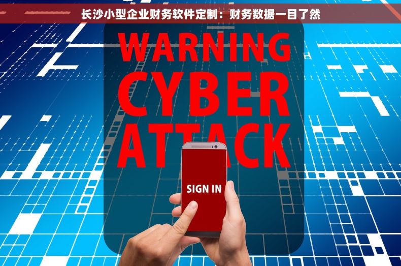 长沙小型企业财务软件定制：财务数据一目了然
