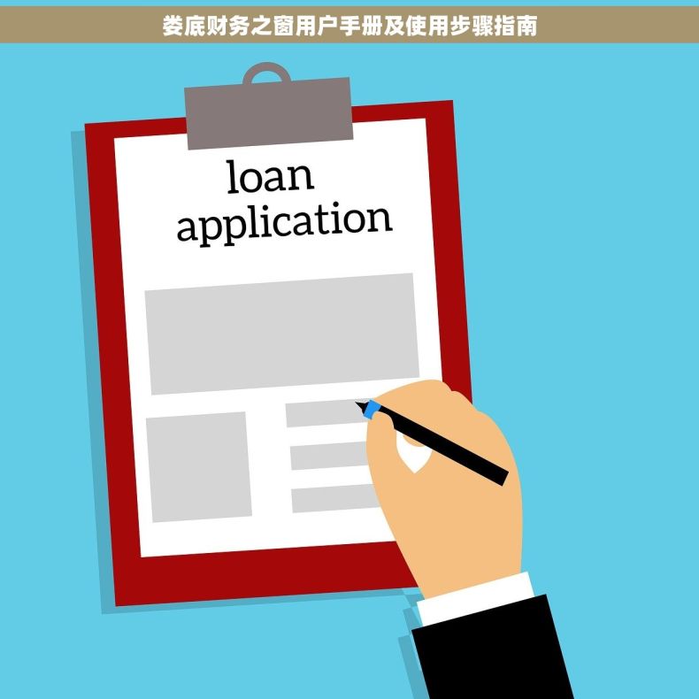 娄底财务之窗用户手册及使用步骤指南