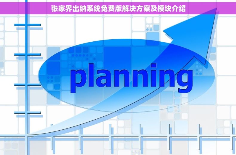 张家界出纳系统免费版解决方案及模块介绍