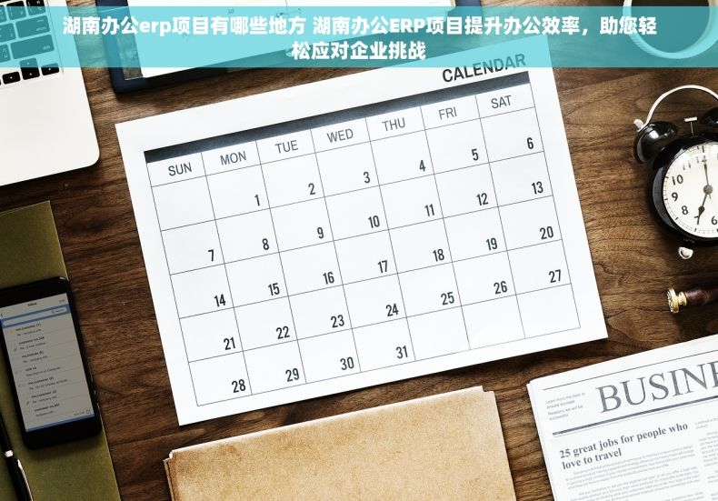 湖南办公erp项目有哪些地方 湖南办公ERP项目提升办公效率，助您轻松应对企业挑战