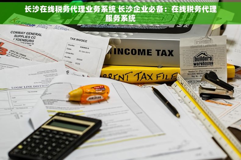 长沙在线税务代理业务系统 长沙企业必备：在线税务代理服务系统