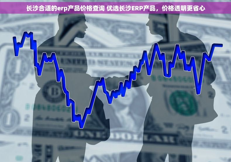 长沙合适的erp产品价格查询 优选长沙ERP产品，价格透明更省心