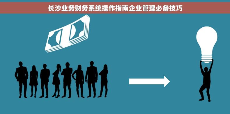 长沙业务财务系统操作指南企业管理必备技巧