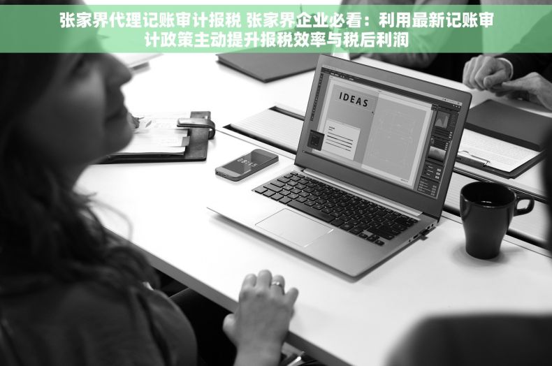 张家界代理记账审计报税 张家界企业必看：利用最新记账审计政策主动提升报税效率与税后利润
