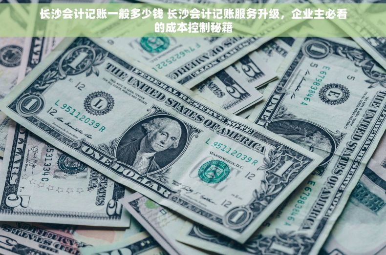 长沙会计记账一般多少钱 长沙会计记账服务升级，企业主必看的成本控制秘籍