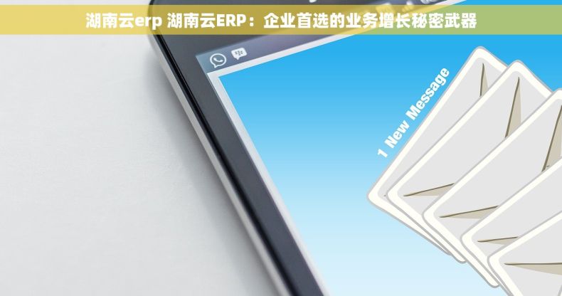 湖南云erp 湖南云ERP：企业首选的业务增长秘密武器