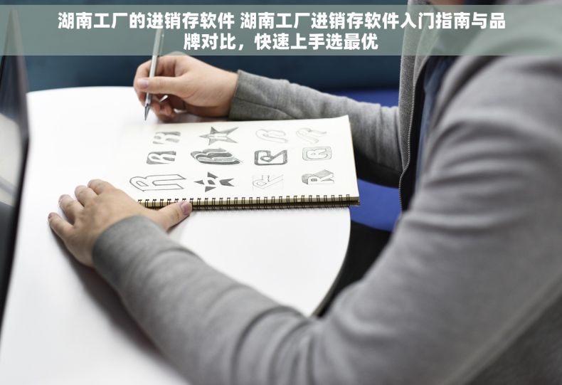 湖南工厂的进销存软件 湖南工厂进销存软件入门指南与品牌对比，快速上手选最优