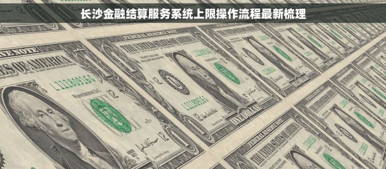 长沙金融结算服务系统上限操作流程最新梳理