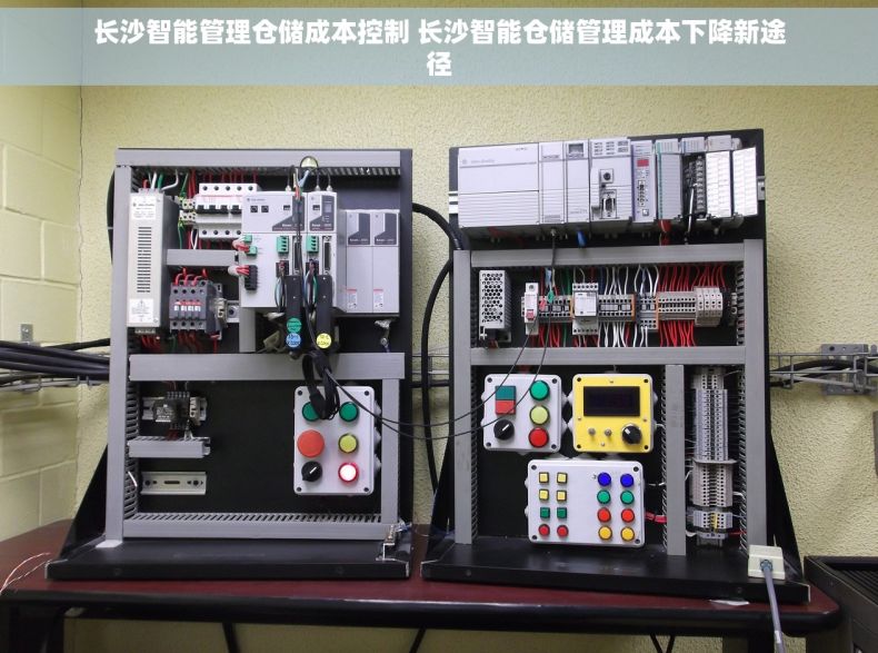 长沙智能管理仓储成本控制 长沙智能仓储管理成本下降新途径