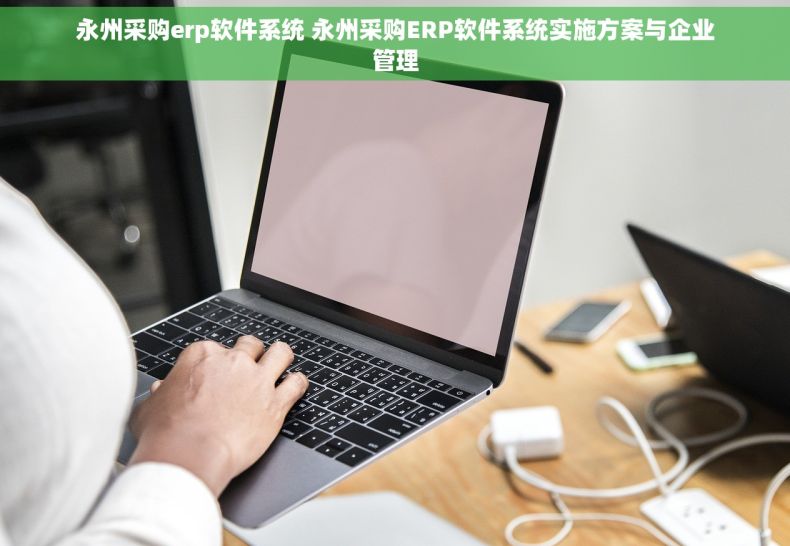 永州采购erp软件系统 永州采购ERP软件系统实施方案与企业管理
