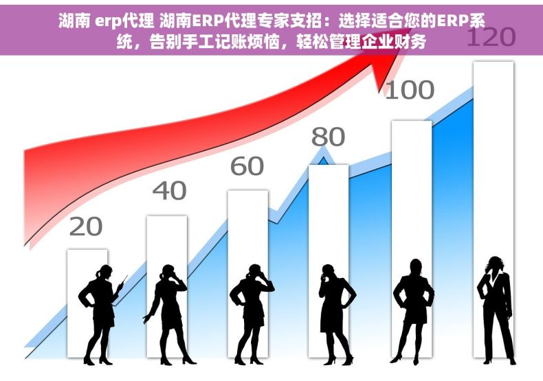 湖南 erp代理 湖南ERP代理专家支招：选择适合您的ERP系统，告别手工记账烦恼，轻松管理企业财务