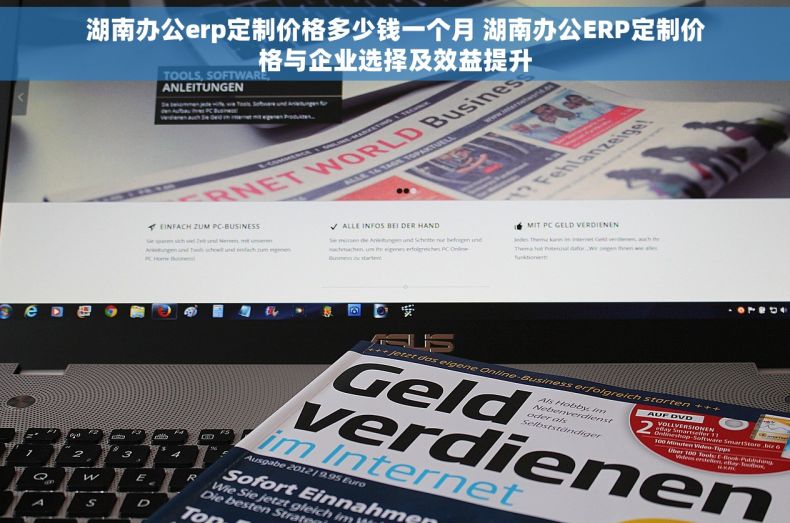 湖南办公erp定制价格多少钱一个月 湖南办公ERP定制价格与企业选择及效益提升
