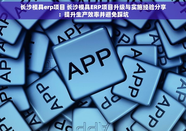 长沙模具erp项目 长沙模具ERP项目升级与实施经验分享：提升生产效率并避免踩坑