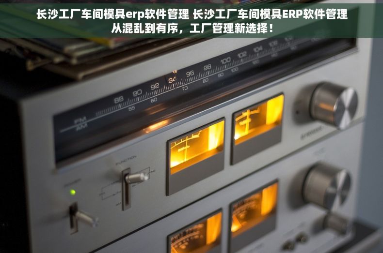 长沙工厂车间模具erp软件管理 长沙工厂车间模具ERP软件管理从混乱到有序，工厂管理新选择！
