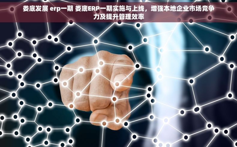 娄底发展 erp一期 娄底ERP一期实施与上线，增强本地企业市场竞争力及提升管理效率