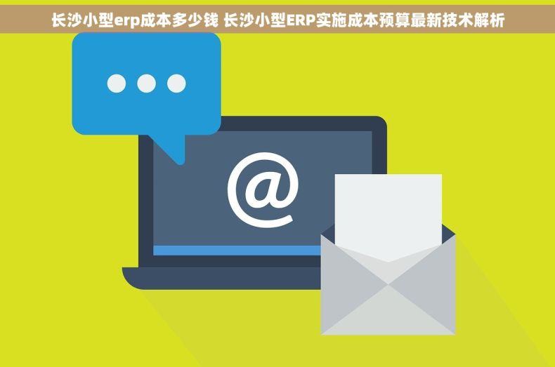 长沙小型erp成本多少钱 长沙小型ERP实施成本预算最新技术解析