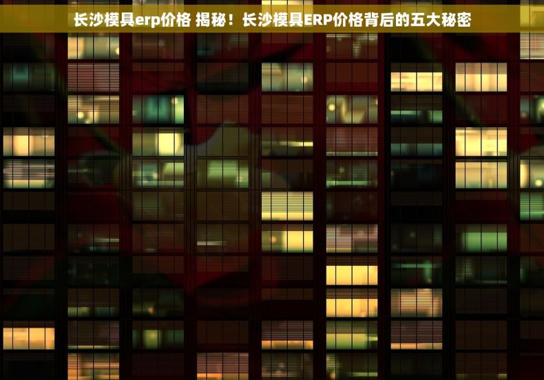 长沙模具erp价格 揭秘！长沙模具ERP价格背后的五大秘密