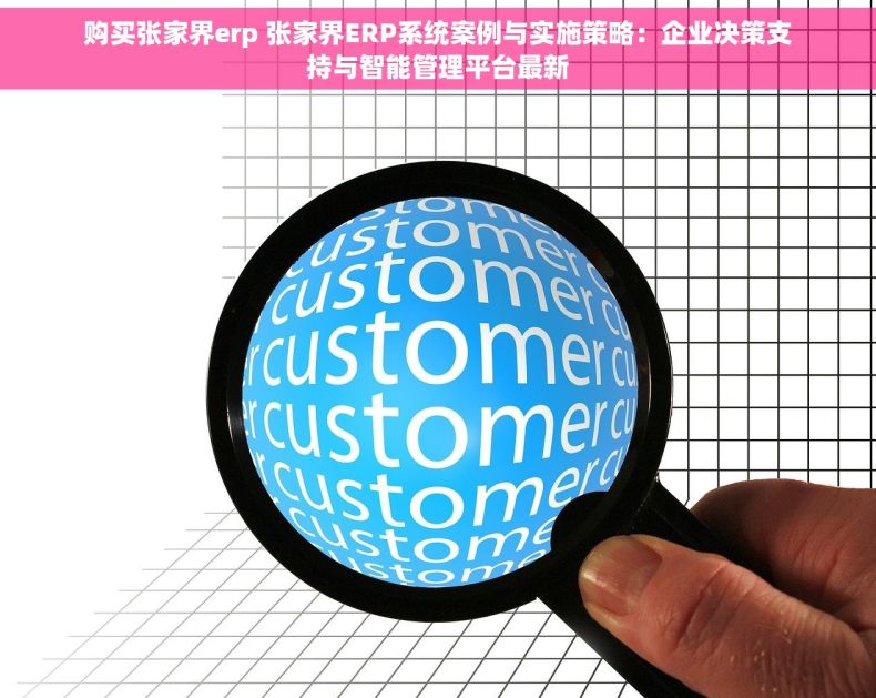购买张家界erp 张家界ERP系统案例与实施策略：企业决策支持与智能管理平台最新