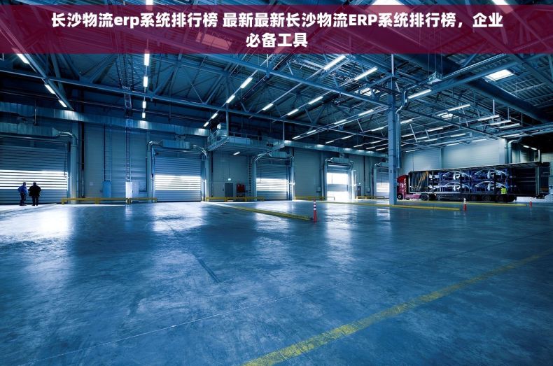 长沙物流erp系统排行榜 最新最新长沙物流ERP系统排行榜，企业必备工具