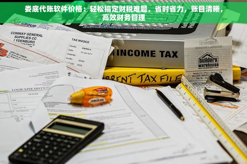 娄底代账软件价格：轻松搞定财税难题，省时省力，账目清晰，高效财务管理