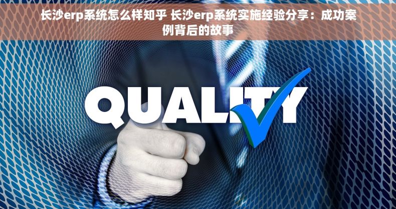 长沙erp系统怎么样知乎 长沙erp系统实施经验分享：成功案例背后的故事