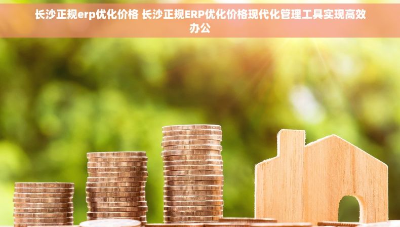 长沙正规erp优化价格 长沙正规ERP优化价格现代化管理工具实现高效办公