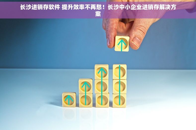 长沙进销存软件 提升效率不再愁！长沙中小企业进销存解决方案