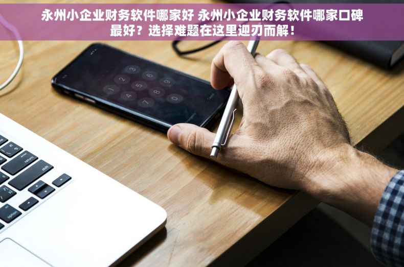 永州小企业财务软件哪家好 永州小企业财务软件哪家口碑最好？选择难题在这里迎刃而解！