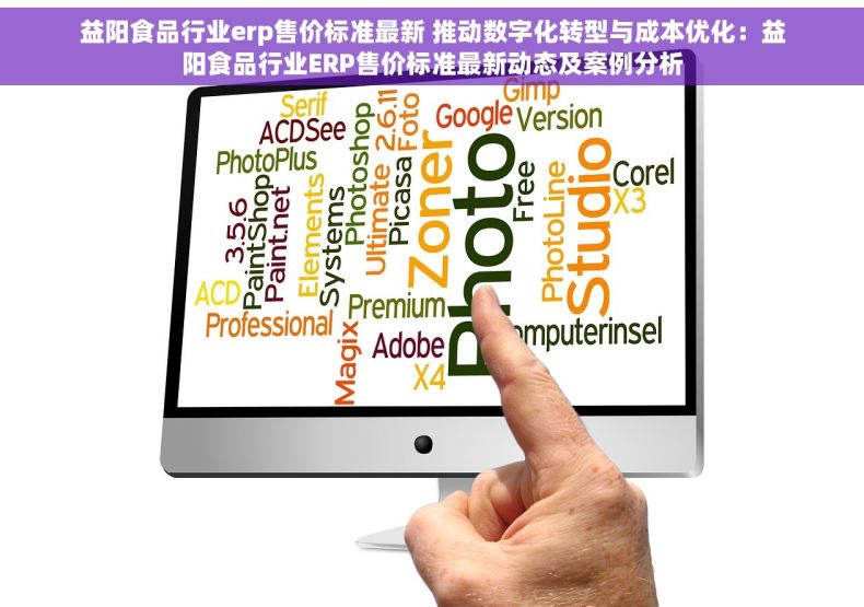 益阳食品行业erp售价标准最新 推动数字化转型与成本优化：益阳食品行业ERP售价标准最新动态及案例分析