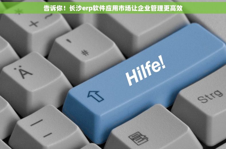 告诉你！长沙erp软件应用市场让企业管理更高效