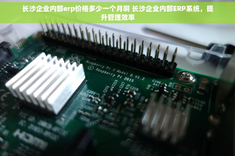 长沙企业内部erp价格多少一个月啊 长沙企业内部ERP系统，提升管理效率