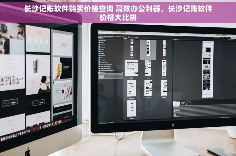 长沙记账软件购买价格查询 高效办公利器，长沙记账软件价格大比拼