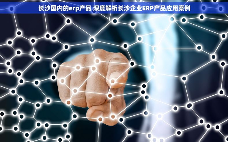 长沙国内的erp产品 深度解析长沙企业ERP产品应用案例