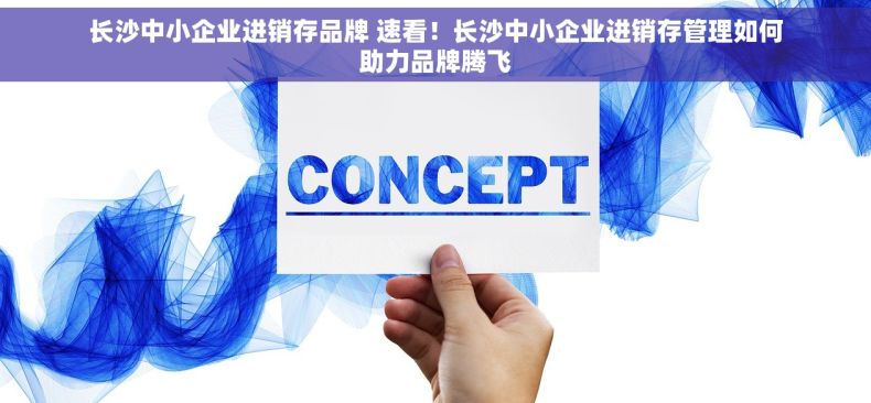 长沙中小企业进销存品牌 速看！长沙中小企业进销存管理如何助力品牌腾飞