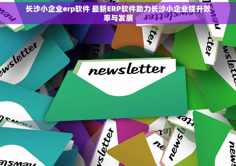 长沙小企业erp软件 最新ERP软件助力长沙小企业提升效率与发展