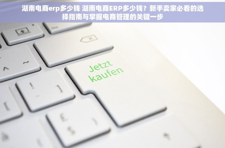 湖南电商erp多少钱 湖南电商ERP多少钱？新手卖家必看的选择指南与掌握电商管理的关键一步