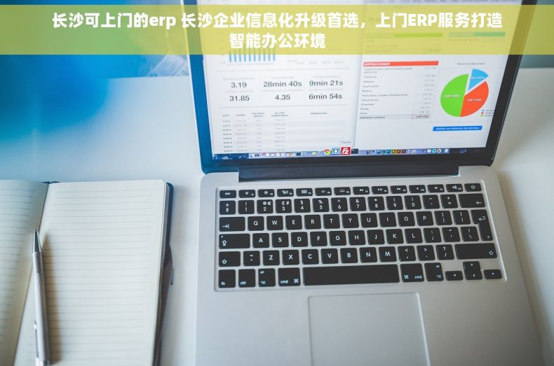 长沙可上门的erp 长沙企业信息化升级首选，上门ERP服务打造智能办公环境