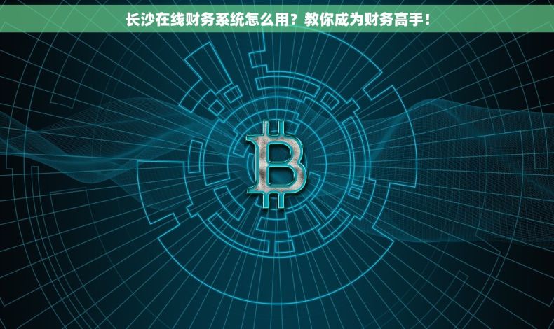 长沙在线财务系统怎么用？教你成为财务高手！