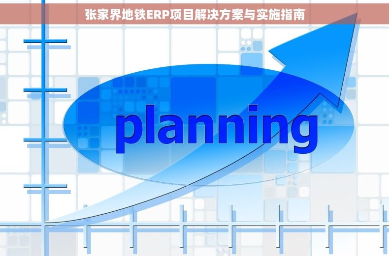 张家界地铁ERP项目解决方案与实施指南