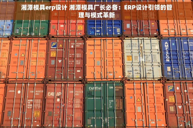 湘潭模具erp设计 湘潭模具厂长必备：ERP设计引领的管理与模式革新